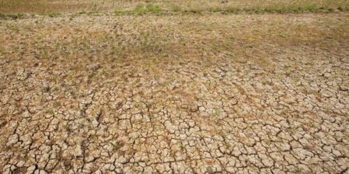 ilustrasi-kekeringan