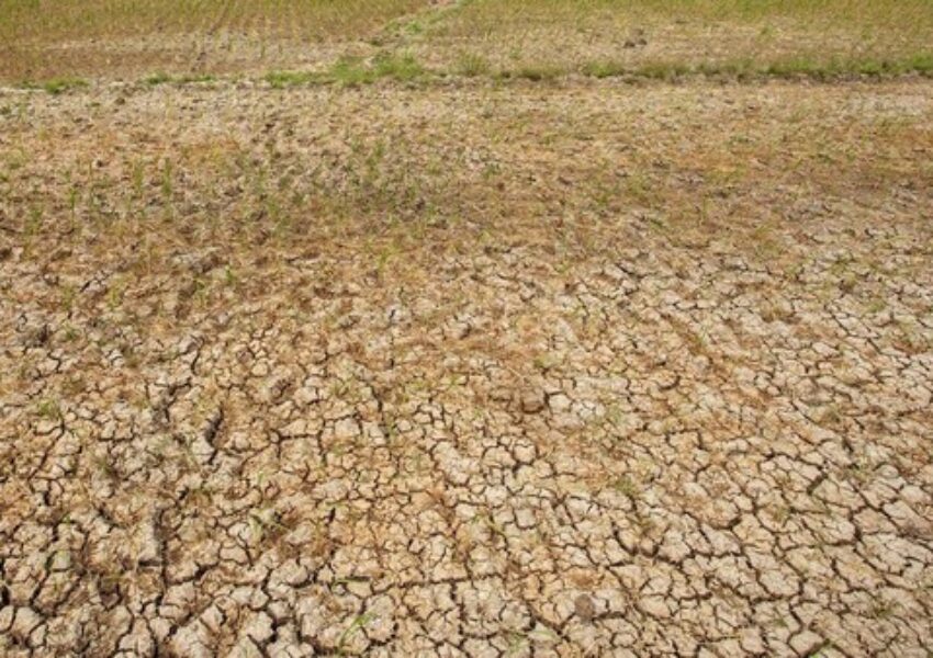 ilustrasi-kekeringan