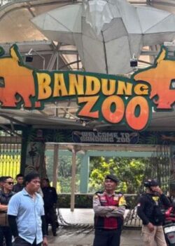 Bandung Zoo (ANTARA:Rubby Jovan)