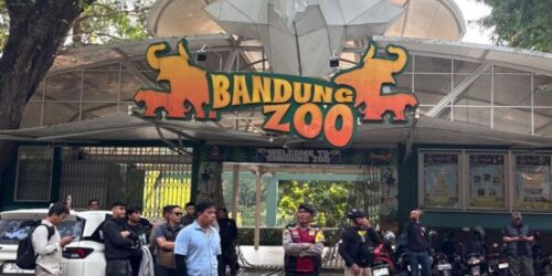 Bandung Zoo (ANTARA:Rubby Jovan)