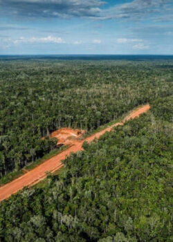 Hutan-di-Papua-dok-Greenpeace-Indonesia