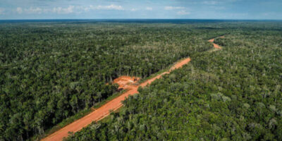Hutan-di-Papua-dok-Greenpeace-Indonesia