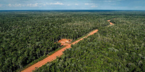 Hutan-di-Papua-dok-Greenpeace-Indonesia