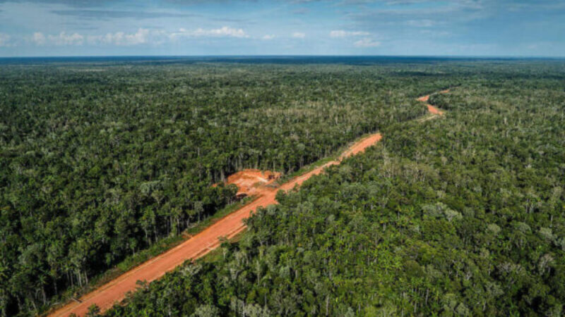 Hutan-di-Papua-dok-Greenpeace-Indonesia