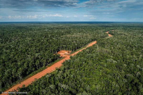 Hutan-di-Papua-dok-Greenpeace-Indonesia