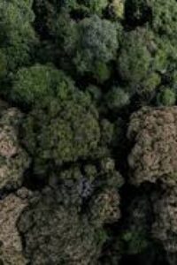 images-4