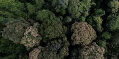 images-4