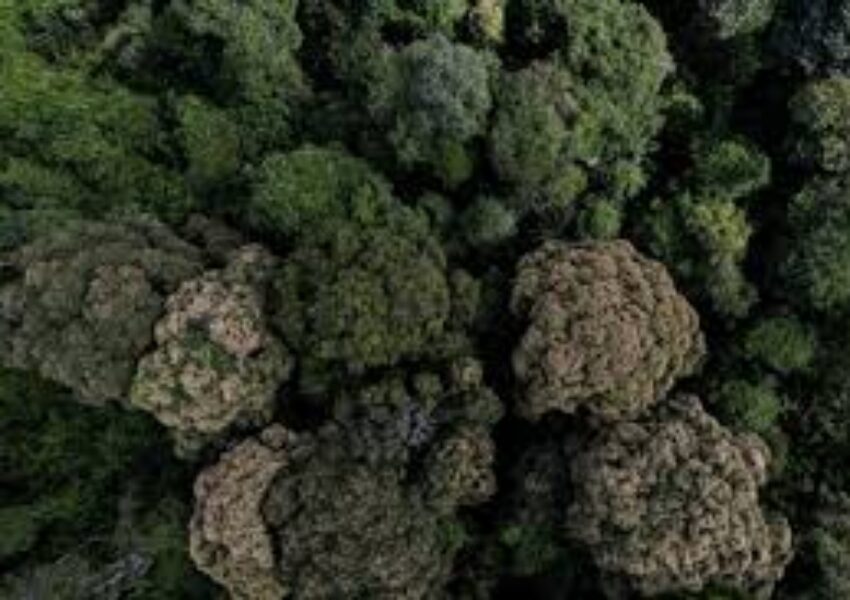 images-4