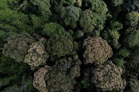 images-4
