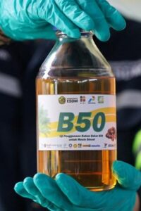 B50 (dok REUTERS:Ajeng Dinar Ulfiana)