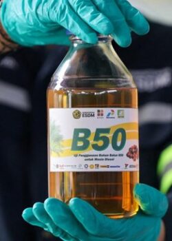 B50 (dok REUTERS:Ajeng Dinar Ulfiana)