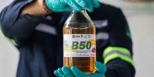 B50 (dok REUTERS:Ajeng Dinar Ulfiana)