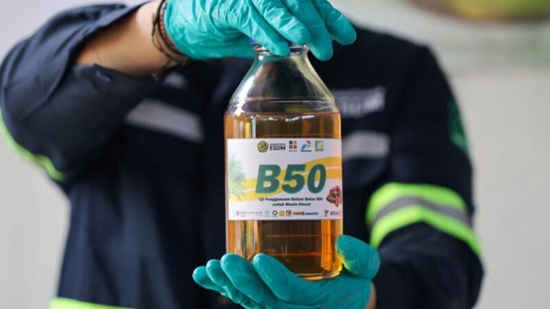 B50 (dok REUTERS:Ajeng Dinar Ulfiana)