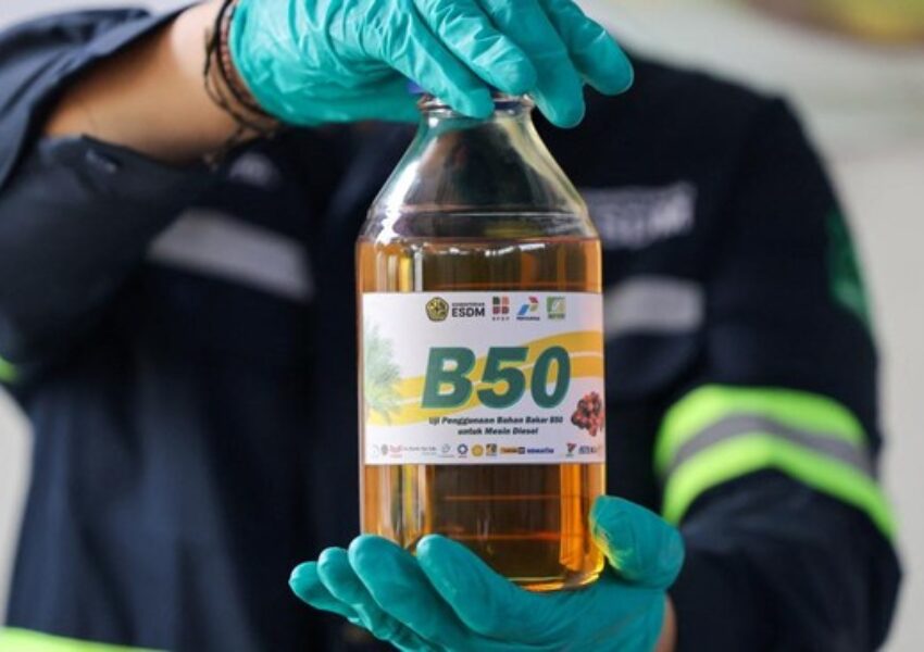B50 (dok REUTERS:Ajeng Dinar Ulfiana)