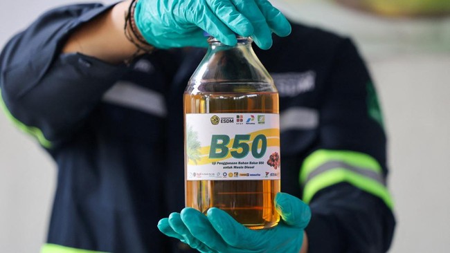 B50 (dok REUTERS:Ajeng Dinar Ulfiana)