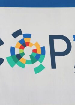 COP31
