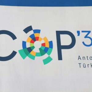 COP31