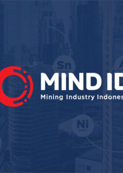 Dok MIND ID