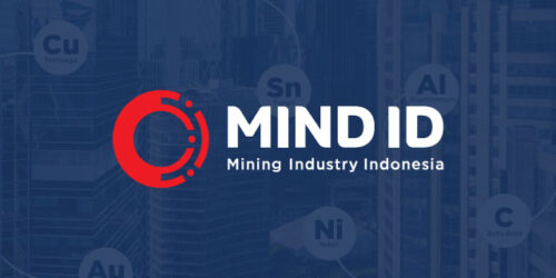 Dok MIND ID