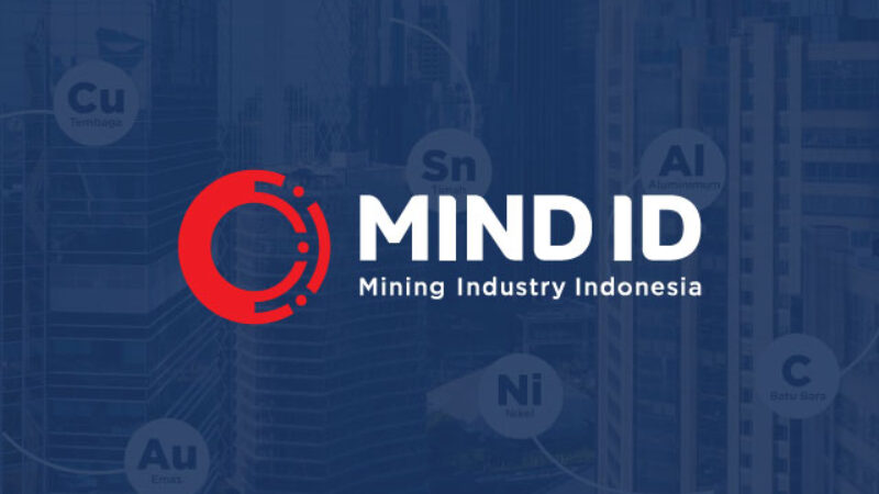 Dok MIND ID