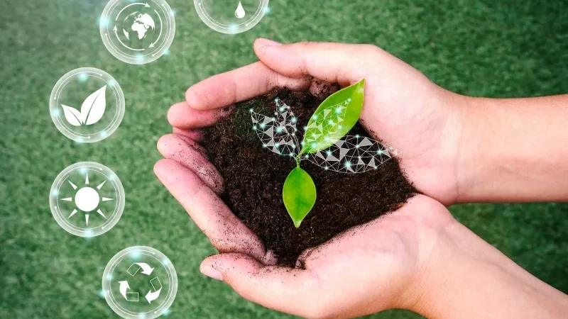Ilustrasi Green Jobs