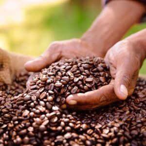 Ilustrasi Kopi
