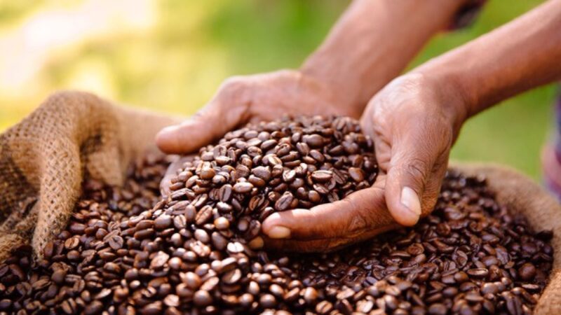 Ilustrasi Kopi
