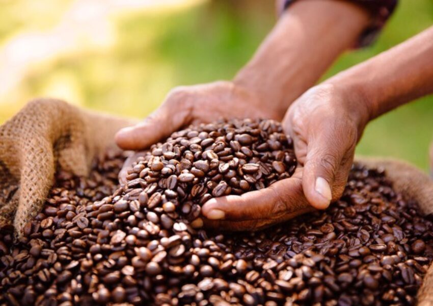 Ilustrasi Kopi
