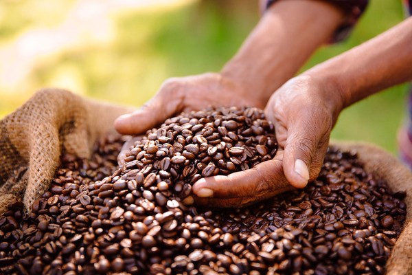 Ilustrasi Kopi