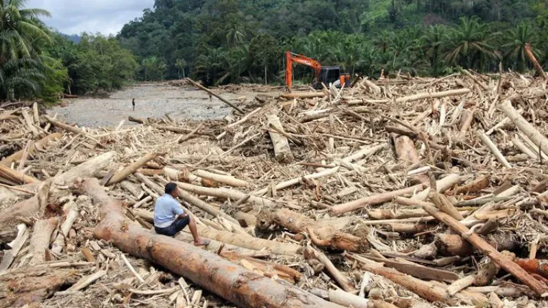 Ilustrasi sungai di Sumatra pasca banjir