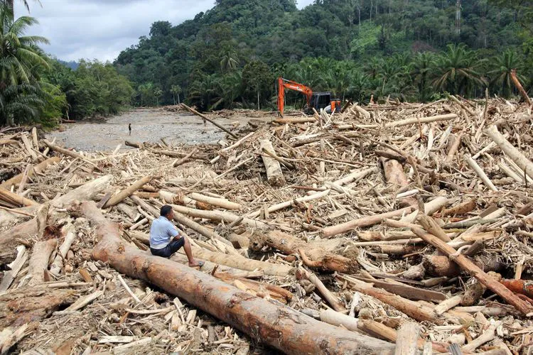 Ilustrasi sungai di Sumatra pasca banjir
