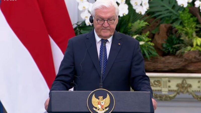 Presiden Jerman Frank-Walter Steinmeier