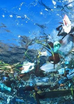 Sampah di laut (Mongabay)