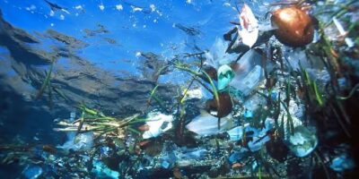Sampah di laut (Mongabay)