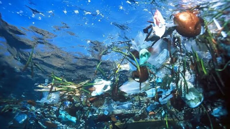 Sampah di laut (Mongabay)