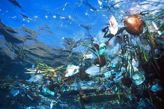 Sampah di laut (Mongabay)