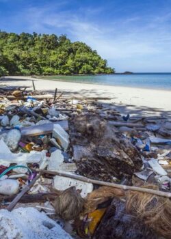 Sampah di pesisir laut