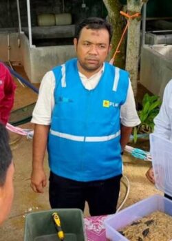 dok PLN IP