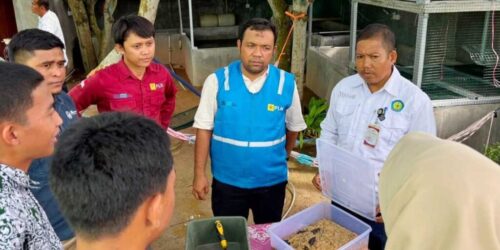 dok PLN IP