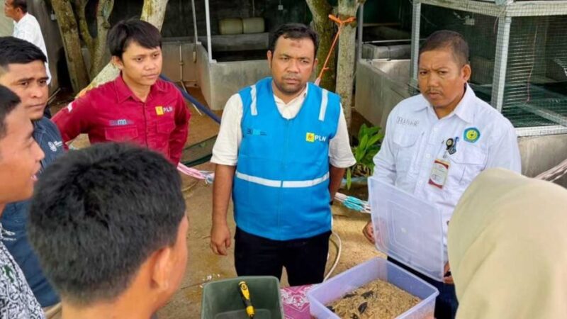 dok PLN IP