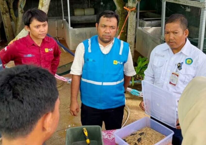 dok PLN IP