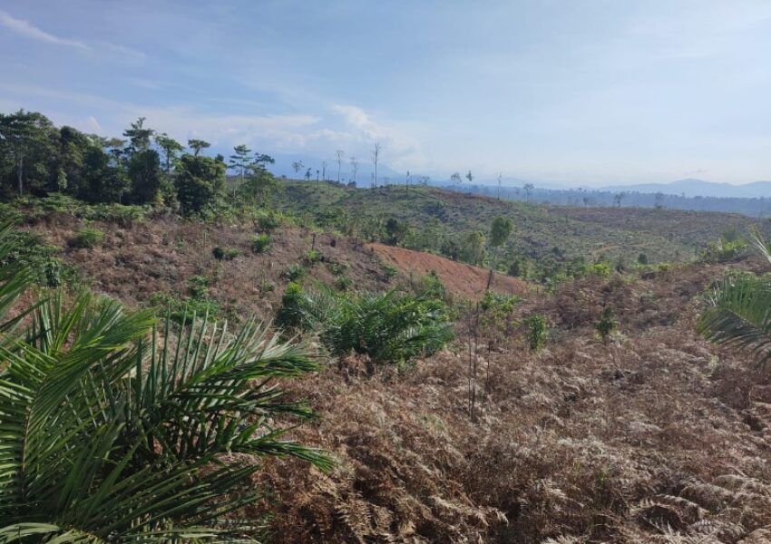 Dok Betahita