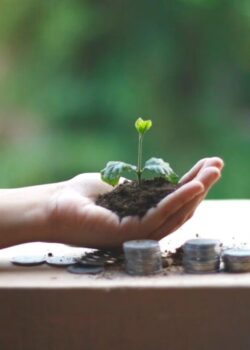 Ilustrasi Investasi Hijau