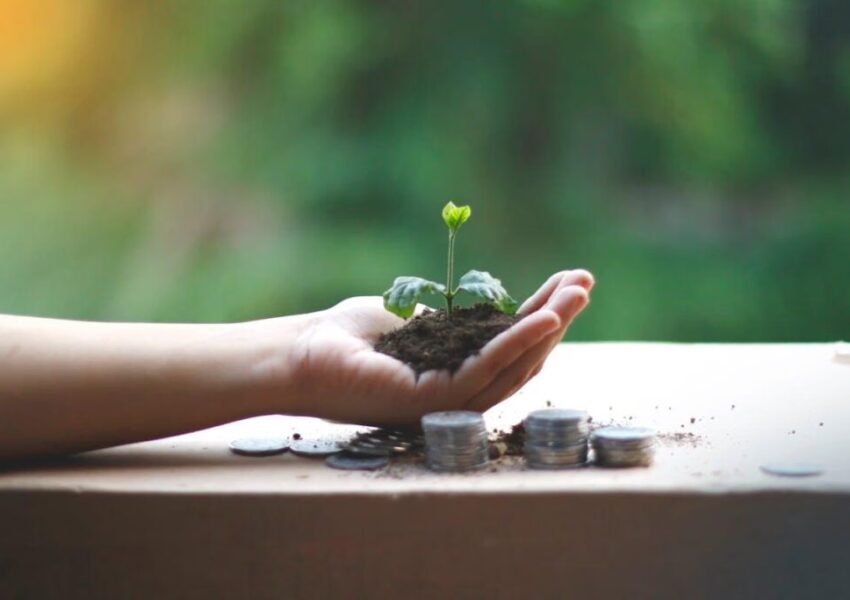 Ilustrasi Investasi Hijau