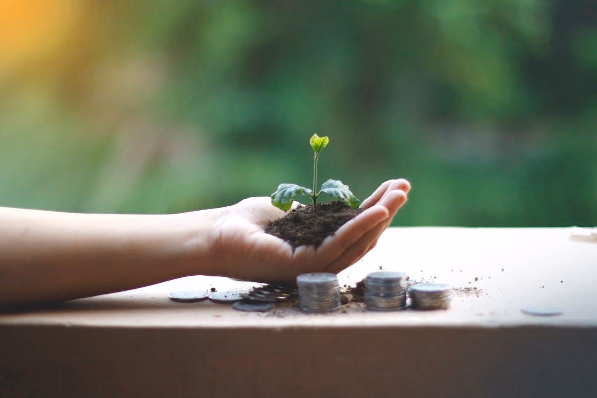 Ilustrasi Investasi Hijau