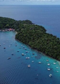 Ilustrasi Pulau