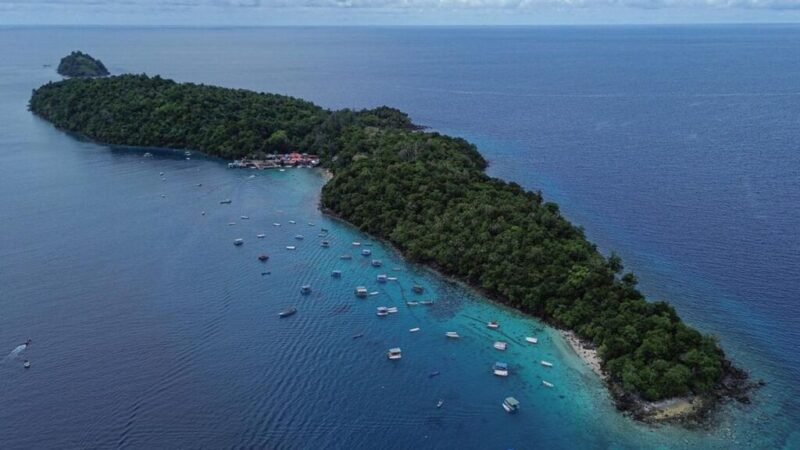 Ilustrasi Pulau