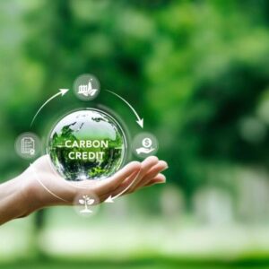 Ilustrasi carbon credits - perdagangan karbon