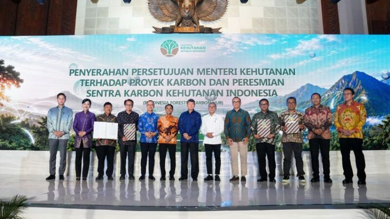 Indonesia Forestry Carbon Hub (Kemenhut)