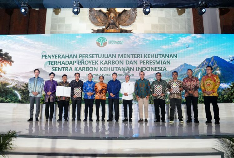 Indonesia Forestry Carbon Hub (Kemenhut)